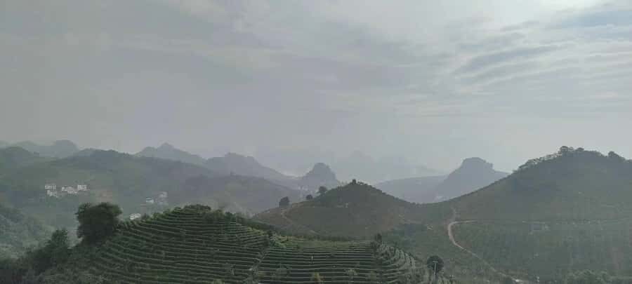 Qixianfeng Tea Plantation Tour in Yangshuo - Key highlights you’ll feel fast