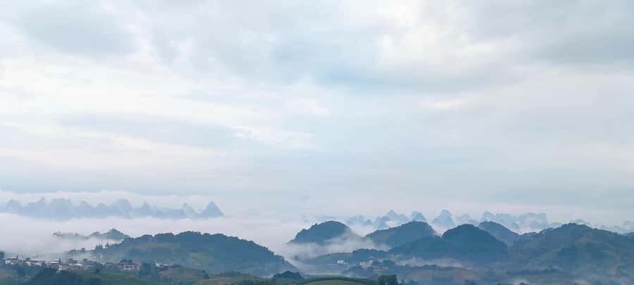 Qixianfeng Tea Plantation Tour in Yangshuo - Picking fresh tea leaves: the hands-on moment