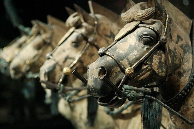 Quick Tour to Xi'an Terracotta Warriors from Shanghai by Air in One Day - Big Wild Goose Pagoda (Dayanta): using the 2 hours well