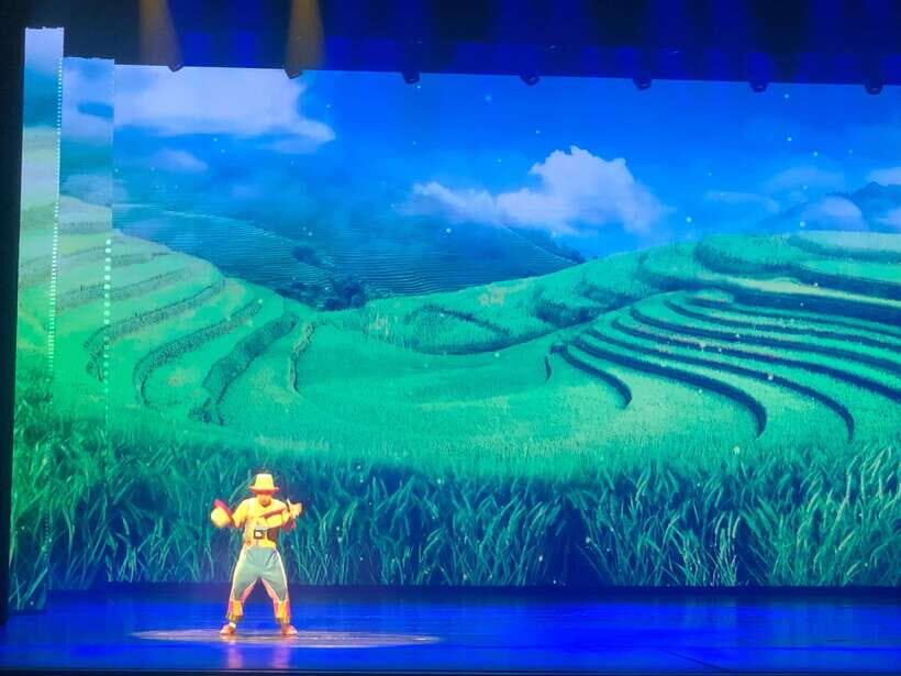 Red Theatre Beijing Acrobatics Show Ticket - Seat Choices: Why Standard and A Are the Safe Bets