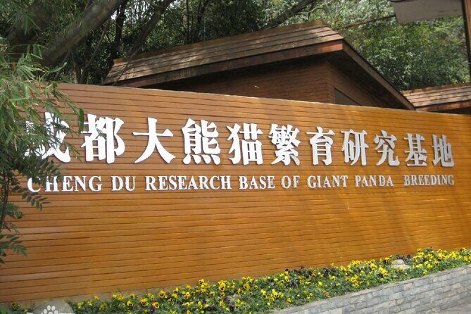 Sanxingdui Ruins and Giant Pandas Private Day Tour from Chengdu - Lunch included: a scheduled break that protects your afternoon