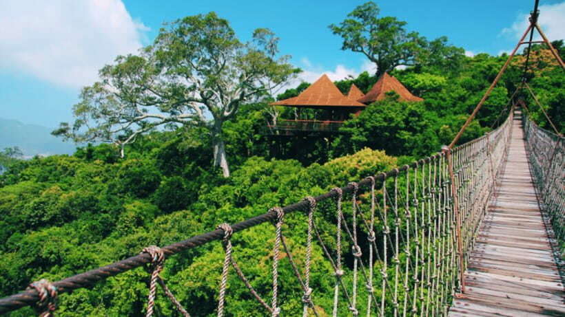 Sanya: Yalong Bay Tropical Forest Ticket and Tour Car - Cable cars and viewing platforms: the Yalong Bay panoramic payoff