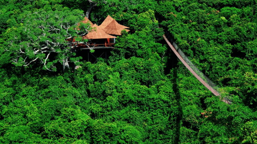 Sanya: Yalong Bay Tropical Forest Ticket and Tour Car - The 5D Magic Cinema and other add-ons: choose your adventure level