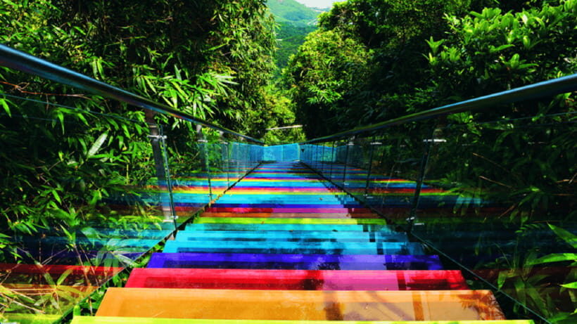 Sanya: Yalong Bay Tropical Forest Ticket and Tour Car - Tropical trails and scenic platforms: what to do first