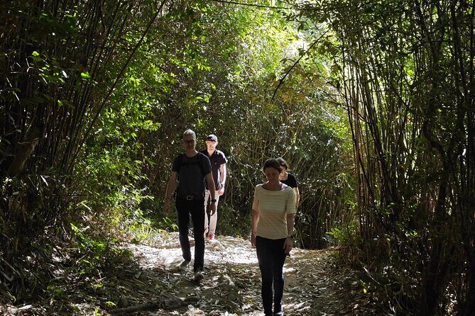 scooter and hiking trip in the rainforest - A One-Hour Ride That Sets the Tone