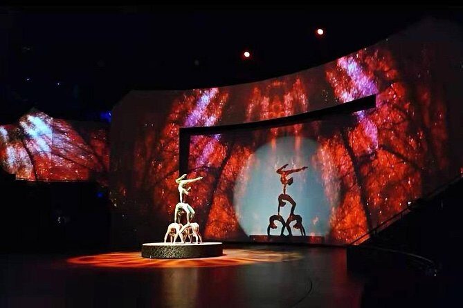 Shanghai ERA-Acrobatic Show Ticket with Private Transfer - Door-to-door private transfer: the real convenience is the handoff