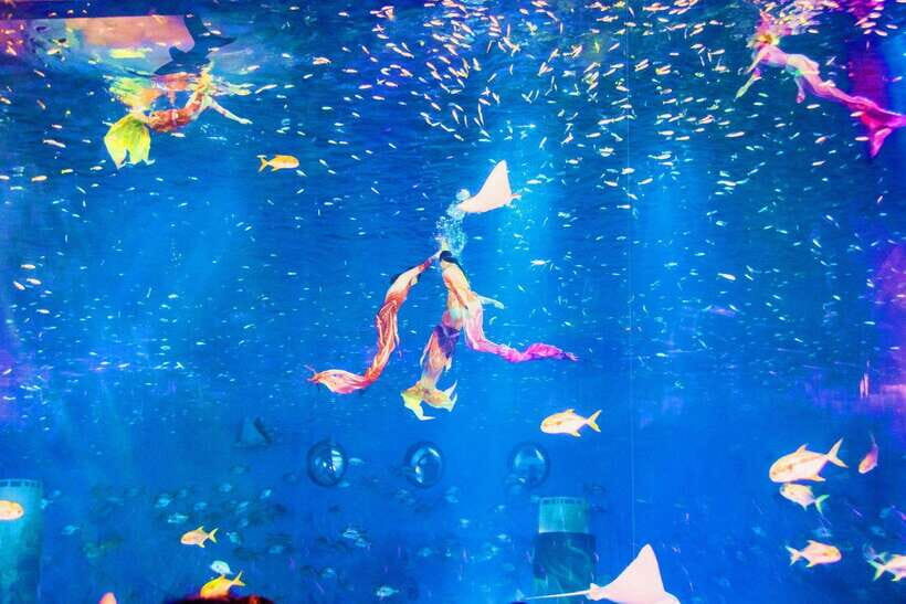 Shanghai: Haichang Ocean Park Adult Ticket - Food rules: what you can’t bring and how the voucher fits