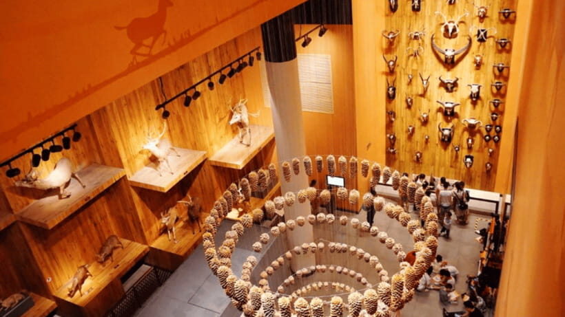 Shanghai: Natural History Museum Admission entry ticket - Interactive Science Experiences: The Part That Keeps Kids Engaged