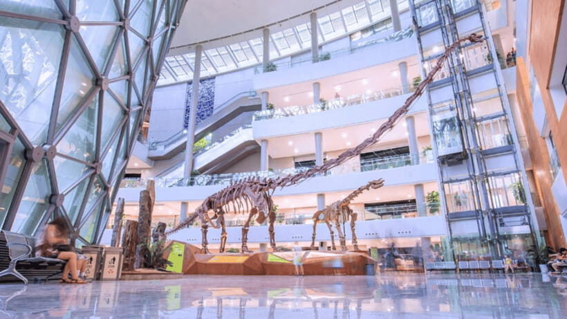 Shanghai: Natural History Museum Admission entry ticket - Wildlife Specimens and Marine Displays for World-Scale Perspective