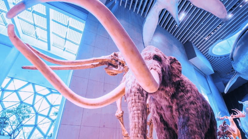 Shanghai: Natural History Museum Admission entry ticket - What’s Included, What’s Not, and What That Means for Your Day