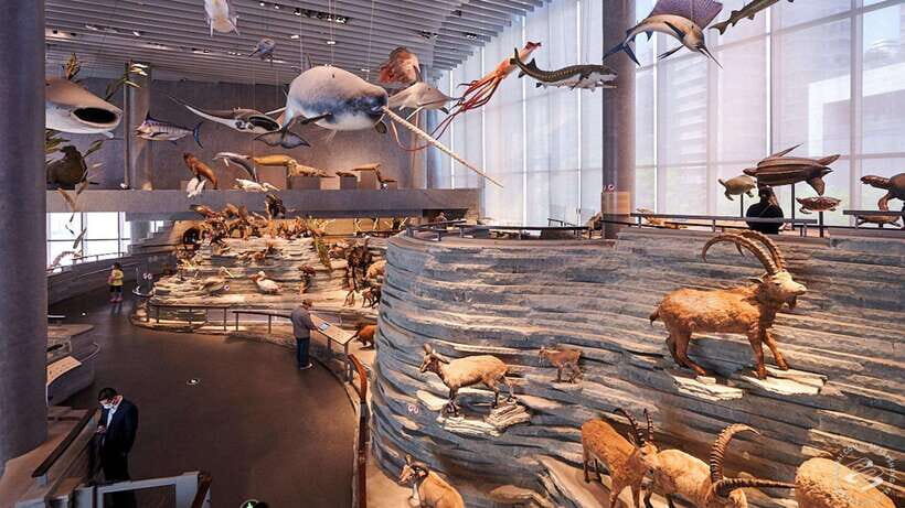 Shanghai: Natural History Museum Admission entry ticket - Where You’ll Go: Jing’an Sculpture Park Meets Natural Science