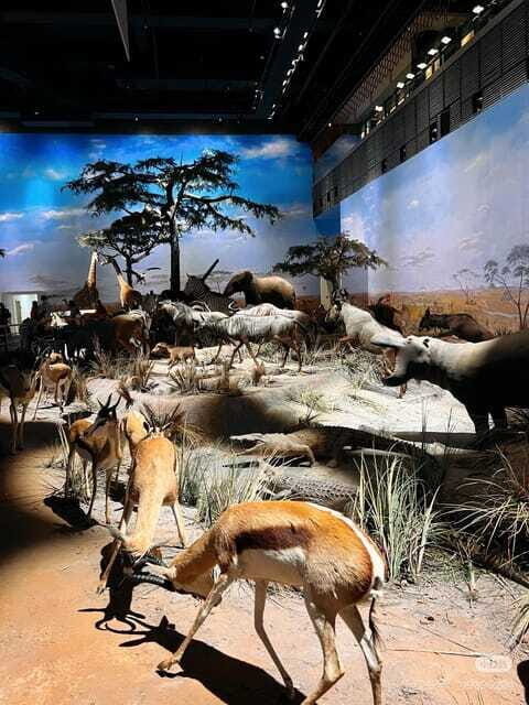 Shanghai: Natural History Museum with Tickets - Five theater-style show spaces: where the museum adds motion
