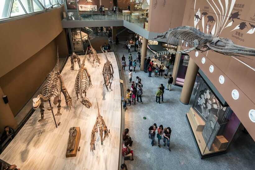 Shanghai: Private Tour of the Shanghai Museum - Wrap-up and Q&A: making sure things click