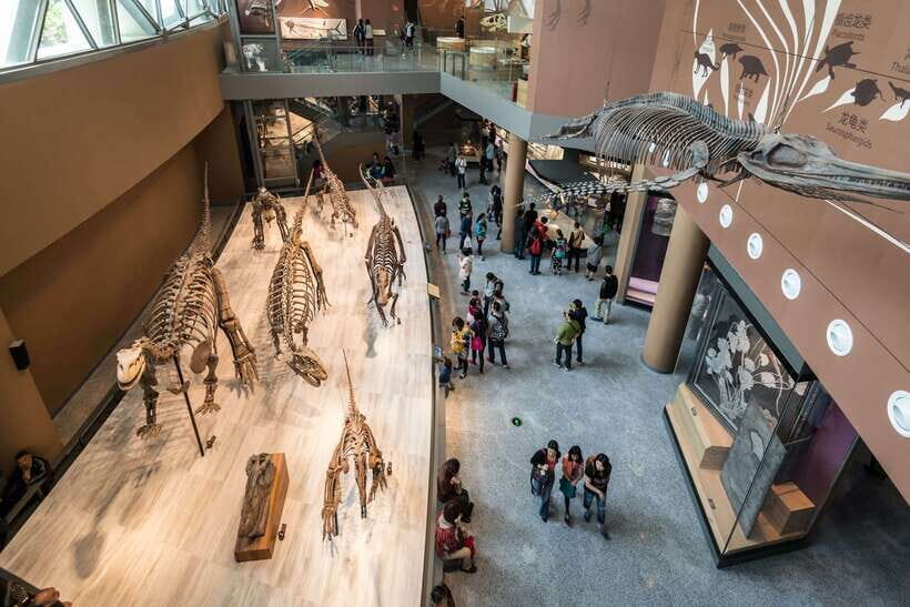 Shanghai: Private Tour of the Shanghai Museum - Meeting at the East Wing: practical logistics that save time