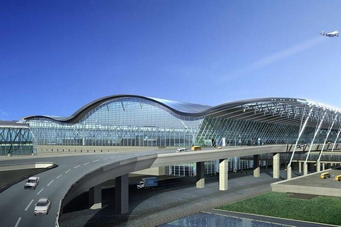 Shanghai Pudong airport transfer to Disneyland:Private with Meet & Great service - The Driver Service: Luggage, Toilets, Money Exchange, and Calm Driving