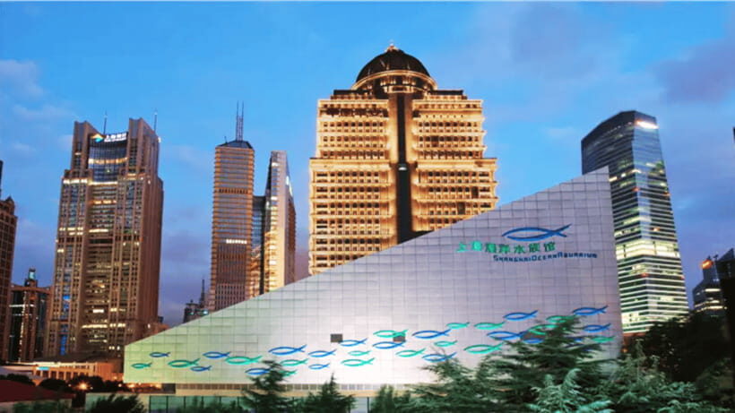 Shanghai: The Marine Wonders at Shanghai Ocean Aquarium - Why Shanghai Ocean Aquarium Works So Well for One-Day Trips