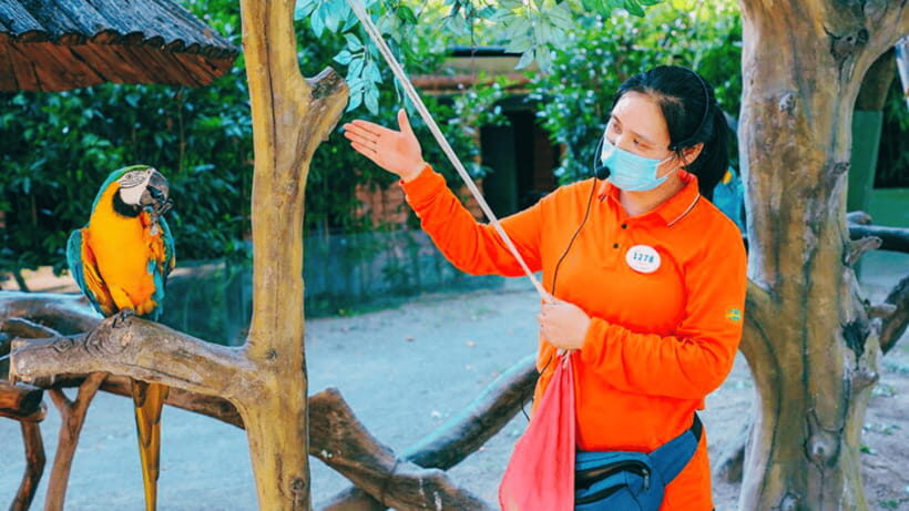 Shanghai: Wild Animal Park Ticket - What to pack and what to leave at home