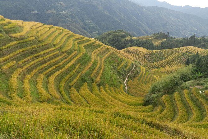 Short Li-River cruise and Longji Rice Terraces Private Day Tour - Ping’an or Dazhai terrace time: how to choose what you’ll enjoy