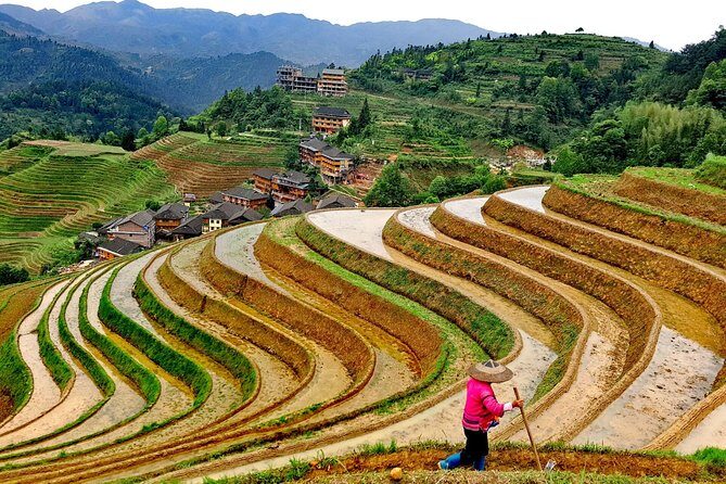 Short Li-River cruise and Longji Rice Terraces Private Day Tour - Timing reality check: what your day will feel like