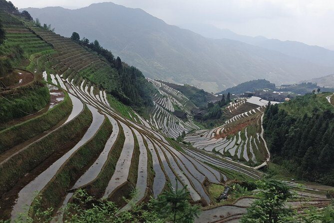 Short Li-River cruise and Longji Rice Terraces Private Day Tour - Who this tour suits best