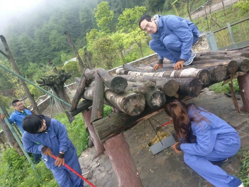 Sichuan: Big Panda Volunteer Day tour - Volunteer Work at Dujiangyan Panda Base: What the Day Really Feels Like