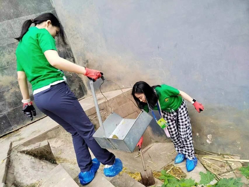 Sichuan: Big Panda Volunteer Day tour - Price and Logistics: Why $347 Can Be Good Value (or Not)