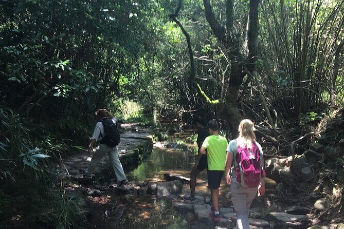 Small Group Hiking Day Tour to Lai Chi Wo - The ferry ride: finishing among islands before you rejoin the city