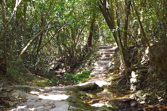 Small Group Hiking Day Tour to Lai Chi Wo - Who should book this Lai Chi Wo hiking day tour