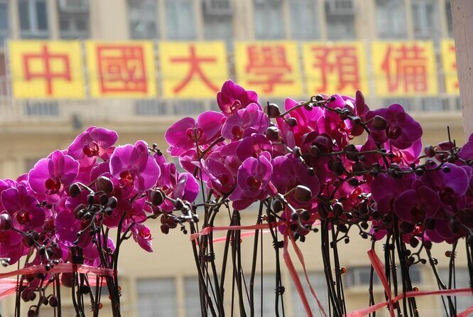 Small-Group Tour: Hong Kong Local Markets Hopper [PROMOTION] - Key Highlights You’ll Actually Feel on the Walk