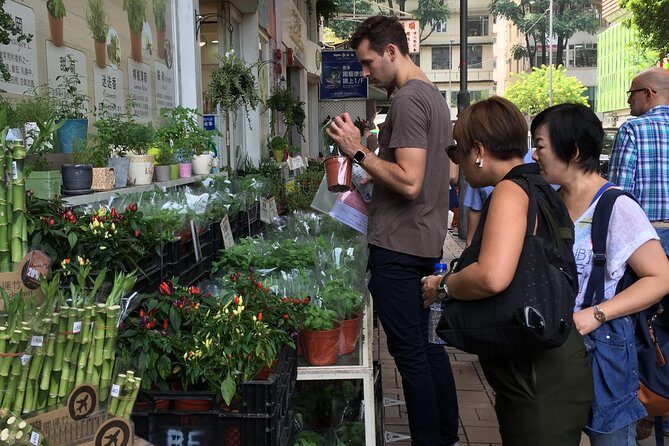 Small-Group Tour: Hong Kong Local Markets Hopper [PROMOTION] - Prince Edward to Mong Kok: A 4-Hour Market Route That Makes Sense