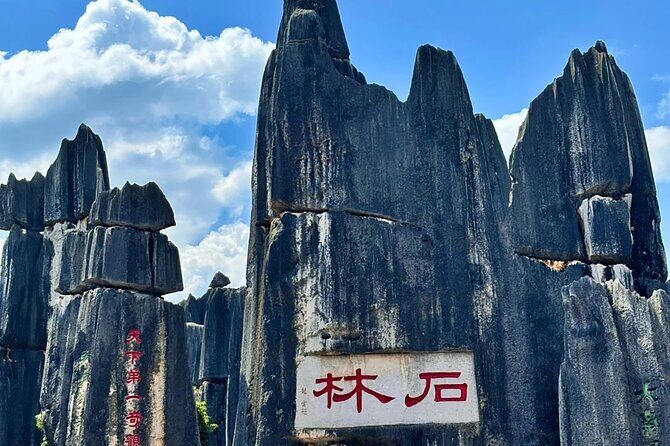 Stone Forest + Yiliang Roast Duck + Kunming City Private Tour - Entering the Stone Forest With a Private Guide