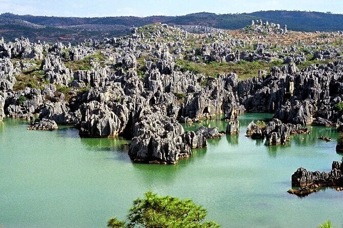 Stone Forest + Yiliang Roast Duck + Kunming City Private Tour - Kunming City Tour: You Choose the Style