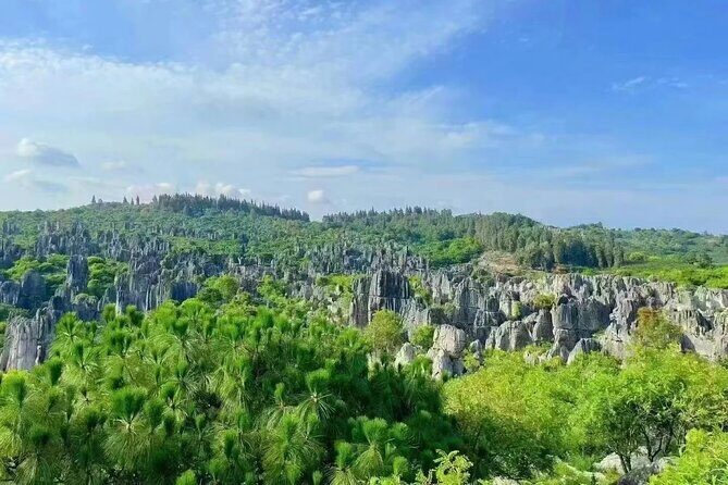 Stone Forest + Yiliang Roast Duck + Kunming City Private Tour - Other Choices in the Kunming Finish