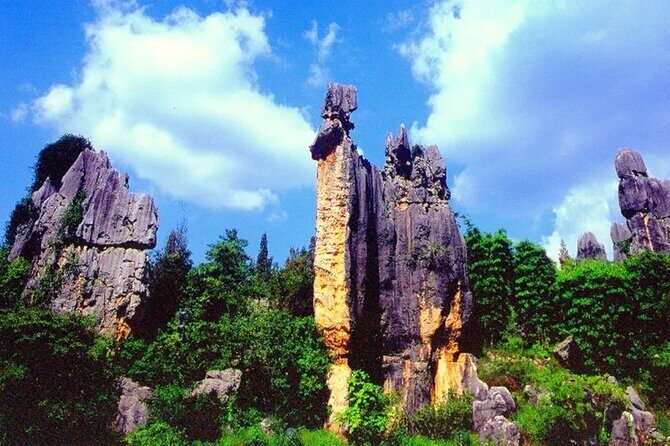 Stone Forest + Yiliang Roast Duck + Kunming City Private Tour - Price and Value: What $56.38 Covers (and What It Doesn’t)