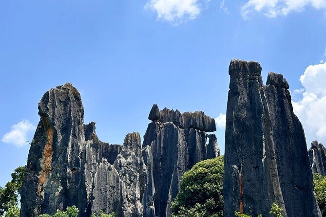 Stone Forest + Yiliang Roast Duck + Kunming City Private Tour - Yiliang Roast Duck Lunch: A Local Specialty With Real Options