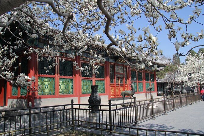 Summer Palace Ticket with optional Guided Tour - Ticket vs guided tour: what actually changes at the gate