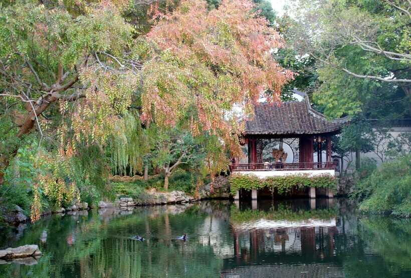 Suzhou:Humble Administrator's Garden Ticket for Adult - How the Rocks, Plants, and Ancient Trees Tell a Story