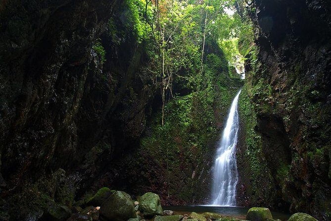 Tai Mo Shan Waterfall Adventure Hike - Your guide makes the hike feel personal (Tristan, Rory, and more)
