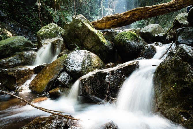 Tai Mo Shan Waterfall Adventure Hike - How the day starts: Tai Wo meeting point and minivan comfort
