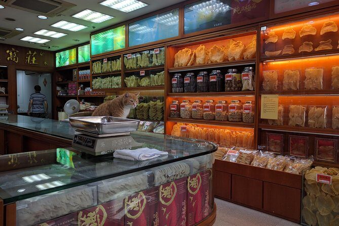 Taking you to every corner of Hong Kong! - Key points to know before you go
