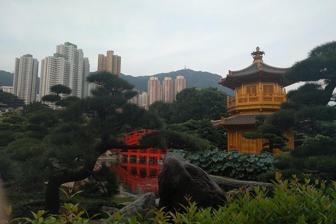 Taking you to every corner of Hong Kong! - Central, Tai Kwun, and an Old Market: The Route That Makes Hong Kong Click