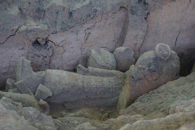 Terra cotta Army Museum Private Tour With English Guide Service - Qin Terracotta Warriors and Horses: what your guide will help you notice