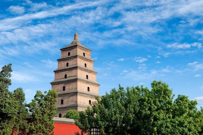Terra-cotta Warriors, Big Wild Goose Pagoda, Ancient City Wall Private Tour - Key highlights at a glance