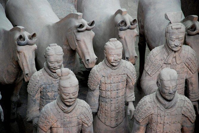 Terra-cotta Warriors, Big Wild Goose Pagoda, Ancient City Wall Private Tour - A private Xian day that actually feels manageable