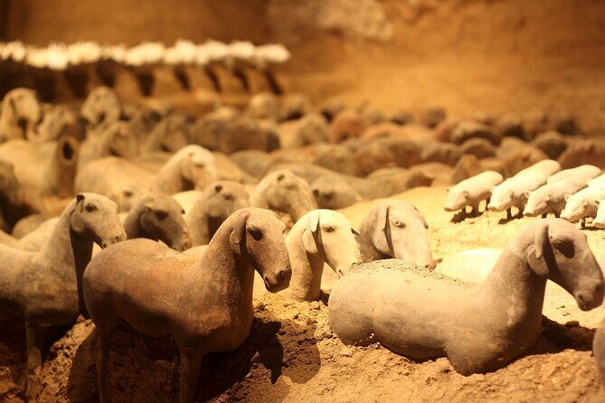 Terra-cotta warriors museum and yang ling mausoleum - Door-to-Door Logistics That Keep the Day From Dragging