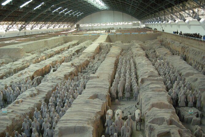 Terra-cotta Warriors Ticket with Optional Car & Guided Service - Who This Experience Suits Best