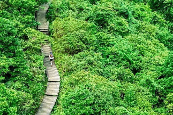 The Big Buddha & Lantau Island - Private Tour with Private Car - Entering Lantau by private car: what you gain in real time