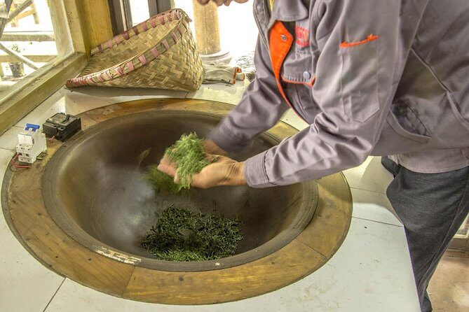 Three-Hour Private Chengdu Tea Wholesale Market Tour - Inside Chengdu’s Tea Wholesale Market: Big, Practical, and Worth It Even If You Don’t Buy Much