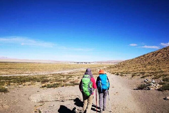 Tibet Tour 15 Days Lhasa to Kailash Trekking Small Group via EBC - Manasarovar to Darchen: wetlands, grasslands, and spiritual gravity