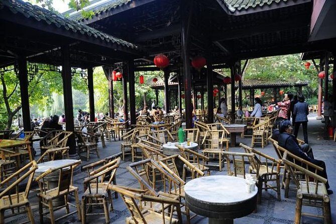 Ticket reservation for Chengdu Giant Panda Breeding Base - 8:00 AM Start Time: Why Morning Beats the Middle of the Day